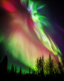 Alaska Tranquility and Wilderness