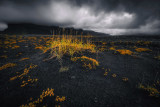 Iceland 2019