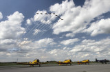 Snowbirds and Harvards