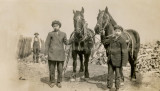 Boys and their Horses 