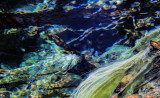 Sulphur Spring 