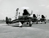 Hawker Sea Fury  