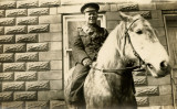 Soldier on a Horse 