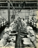 British Munitions Company Limited