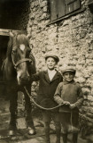 Two Boys and a Horse  