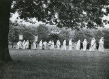 Druid Procession  