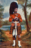Cameron Highlander  