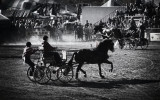 Buggy Race 