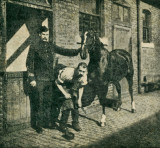 Cavalry Farrier  