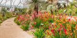 IMG_7672_3_4_5_6_7-Pano-Edit.jpgWestern Australia Garden - Mediterranean Biome - © A Santillo 2017
