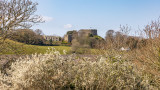 IMG_8598 Trematon Castle - © A Santillo 2020