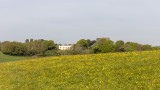IMG_8710 Trematon Castle - © A Santillo 2020