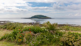 IMG_8859.jpg Looe Island, also known as St George's Island, and historically St Michael's Island - © A Santillo 2020