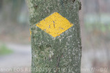 Canon RF 85mm f2 Macro IS STM vs Asahi Pentax S-M-C_Takumar 1.8/85mm