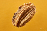 1920_AISR2430_angelica 3x.jpg