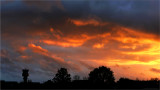 Steenokkerzeel, our village