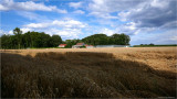 Steenokkerzeel, our village