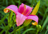 DSCF 8.jpg