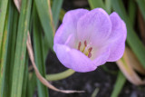 DSCF 28.jpg