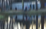 Reflexions