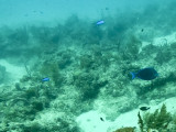 G1414470.jpg