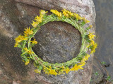 Wildflower Art found at Howard Eaton Reservoir