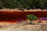 Rio Tinto - Puente Salomon 2019-04-30