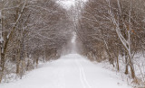 Skiing Tracks