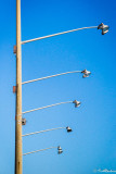 Lighting the Tennis Court