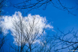 The Presence of Clouds