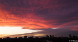 twilights