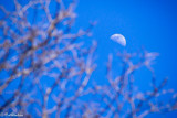 THE MOON