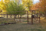 9607 Garden fence project Oct 6 2021.jpg