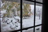 9631 Snow from front door Oct 12 2021.jpg
