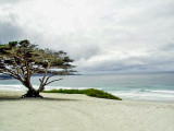 Carmel , Ca