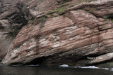 Gaspesie_2012_DSC1747_site.jpg