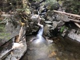 Pierce and Jackson 20 Jul 2019