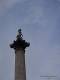 20190909_161450 Nelson And The Sky