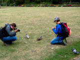 190909_163518_0553 The Squirrel