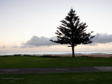 210226_063406_0020 Lone Tree, Morning (Fri 26 Feb 21)