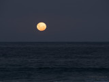 210427_174052_0030 Supermoon - Longer Exposure (Tue 27 Apr 21)