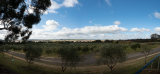 210514_132155_0013_18 The Olive Grove Rest Stop (Fedra Olive Grove) (Fri 14 May 21)