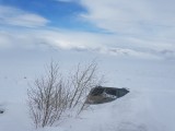 Snow-Bound in Utah