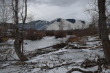 Montana