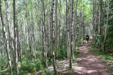 Snowmass Mtn