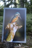 Exposition photos aux Gorges de Crosery (Vosges)