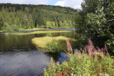 Tourbière de Lispach