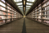 Lines On The Tribeca Pedestrian Bridge