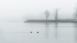 A Gray and Foggy Day