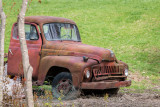 Stuck, With No Place to Go